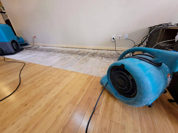 Professional Water Extraction technician working in Kirkland, IL